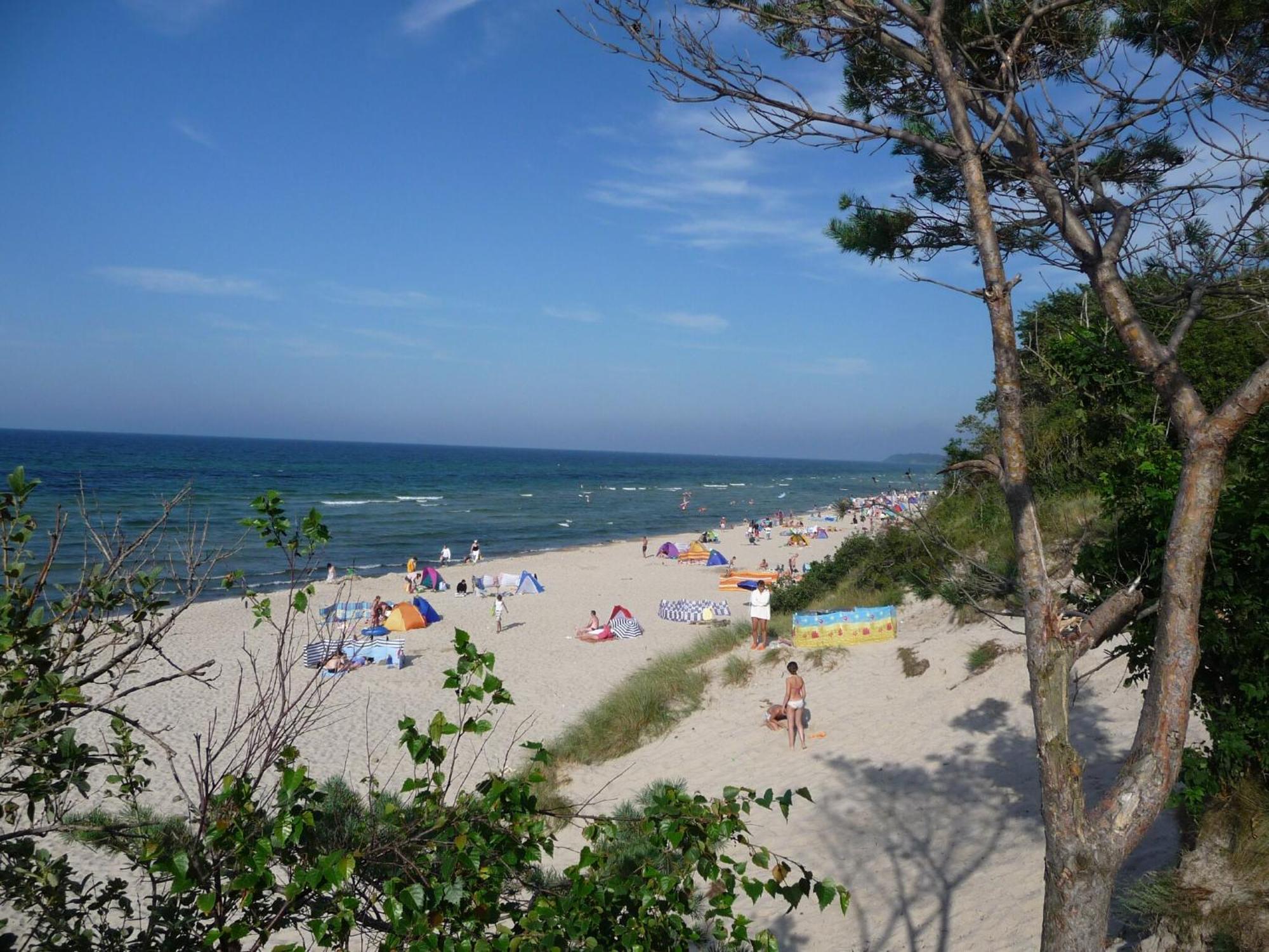 Bungalow Zur Boje, Bgl 19 德兰斯克 外观 照片